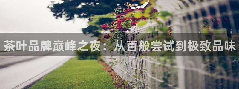 龙八国际娱乐官网手机