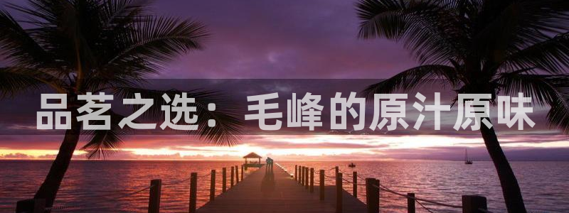 龙八国际电子游戏