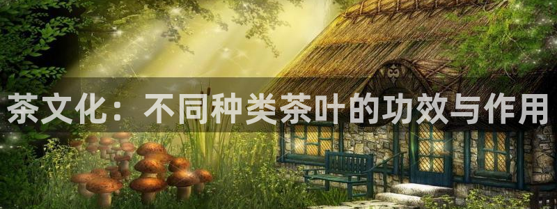 龙八国际娱乐实力如何