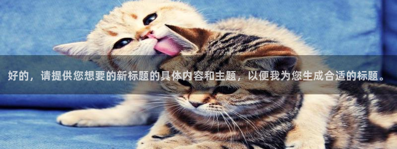 在龙八国际
