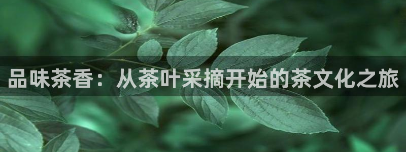 龙八国际官方首页
