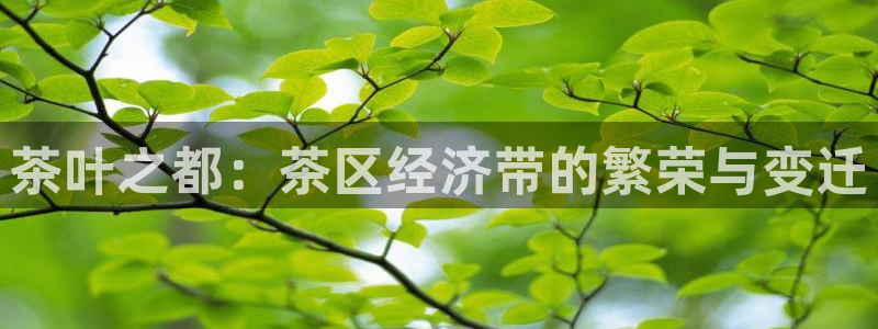 龙八国际国际娱乐官网