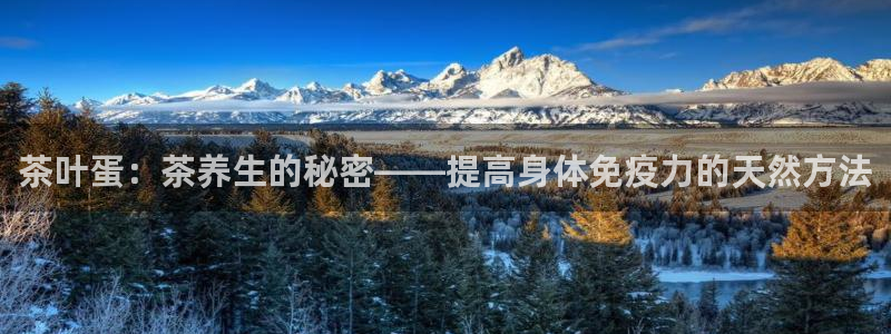 菲律宾龙八国际杀猪