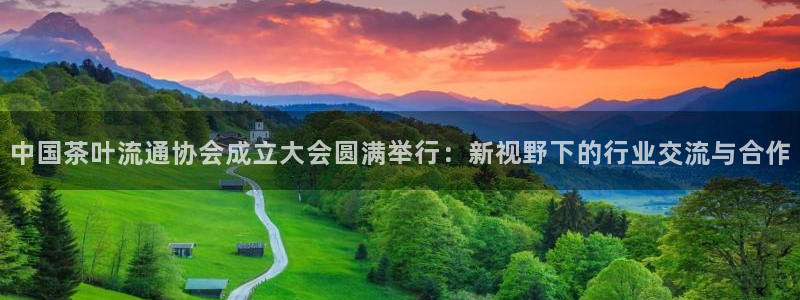 龙八国际菲律宾官网