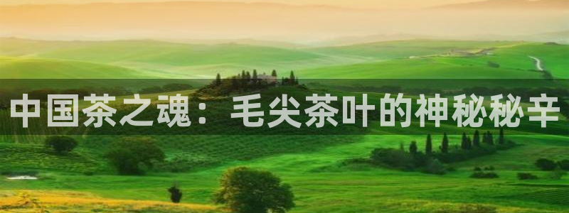在龙八国际