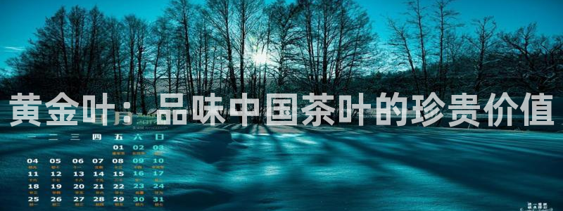 龙八国际官网app下载