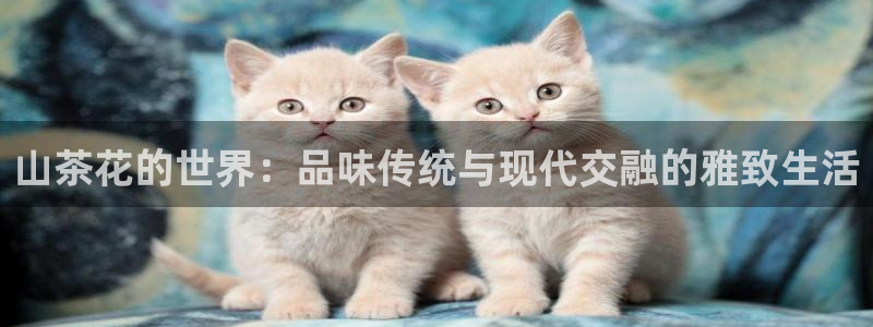 龙八国际网址是多少