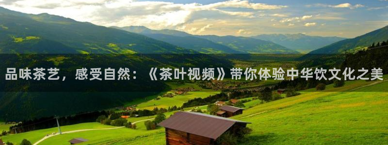龙八国际app客户端下载手机版