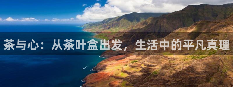 龙八国际有没有假