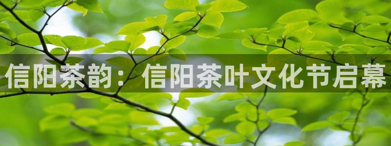 龙八国际娯乐城软件下载