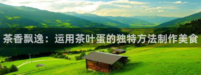 龙八国际88