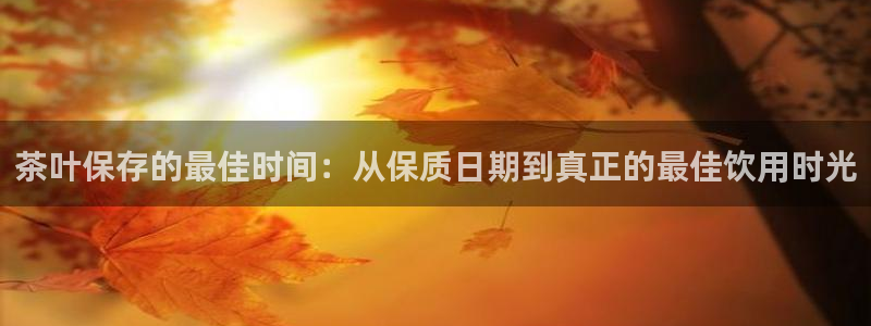 龙八国际娱乐官网手机