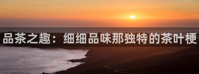 龙八国际管网