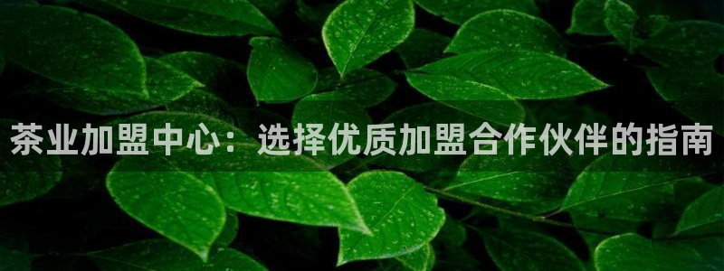 龙八国际是个什么游戏机