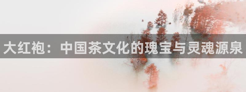 龙八国际选q18点tv
