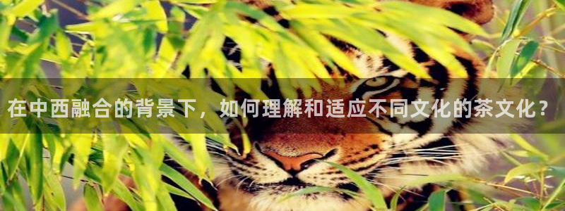 龙八国际pT娱乐官网