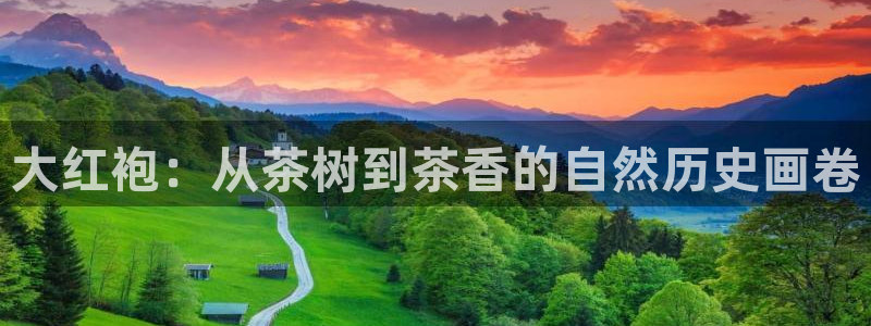 龙八国际免费下载