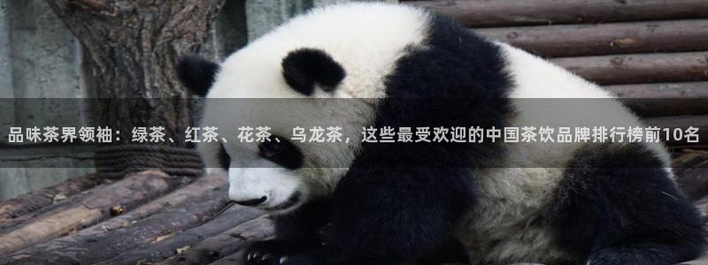 龙八国际官网苹果
