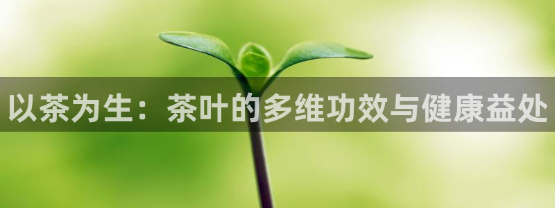 龙八国际娱乐官网多少