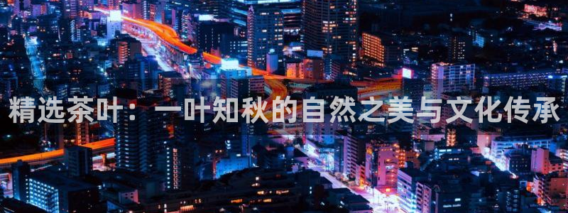 下载龙八国际app