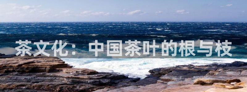 龙八国际app客户端下载不了