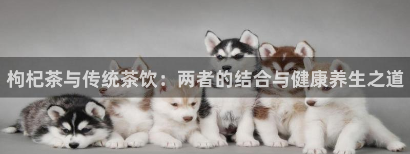 龙八国际娱乐在线游戏