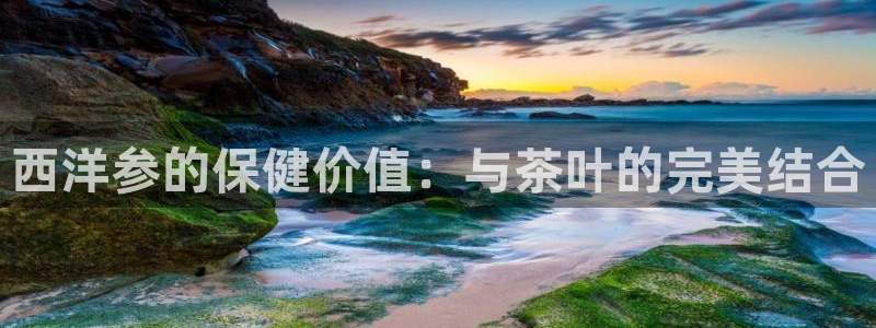 龙八国际平台可靠吗