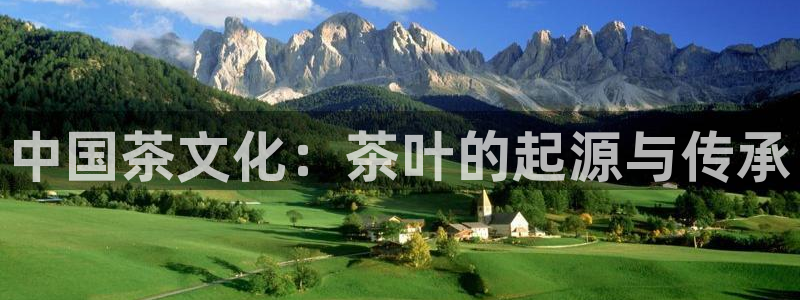 龙八国际网页long123