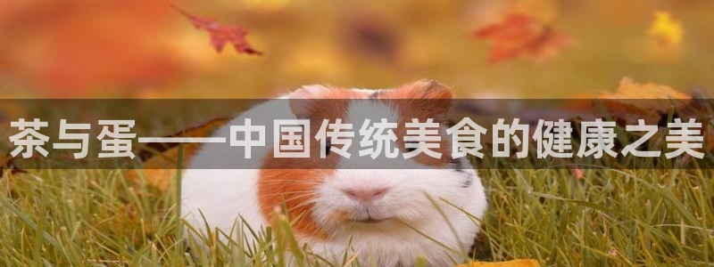 龙八国际官方手游