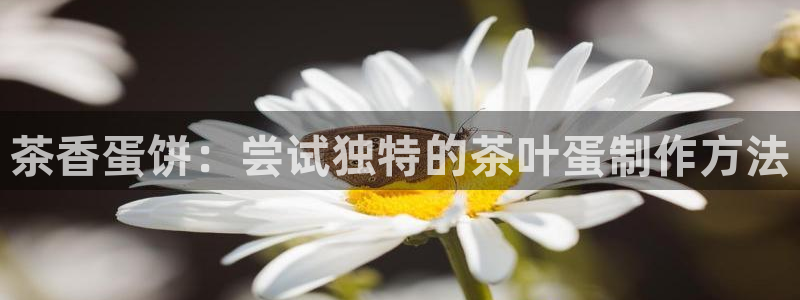 龙八国际娱乐官网