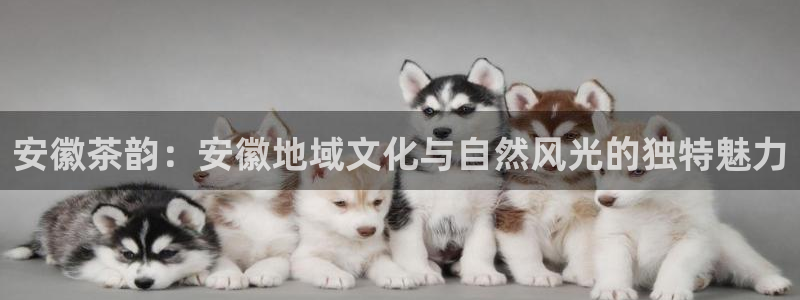 龙八国际游戏