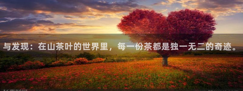 下载龙八国际手机版