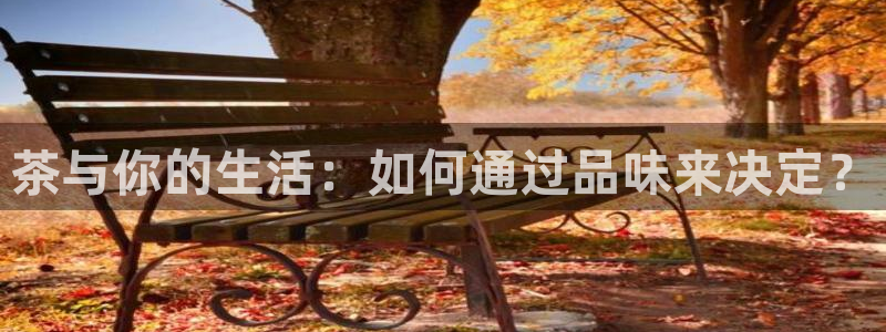 龙八国际优惠