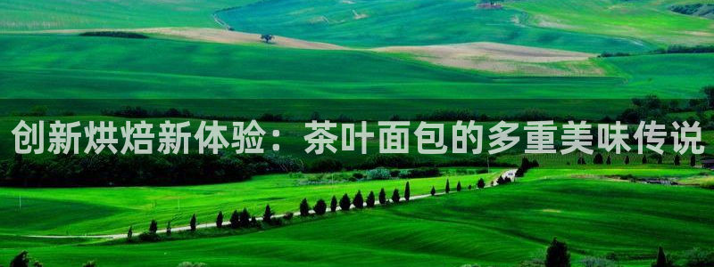 在龙八国际