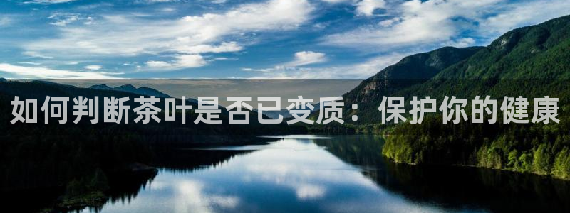 龙八国际网页