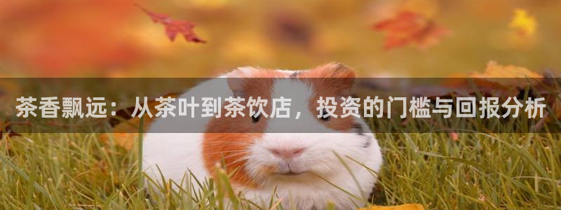 下载龙八国际app