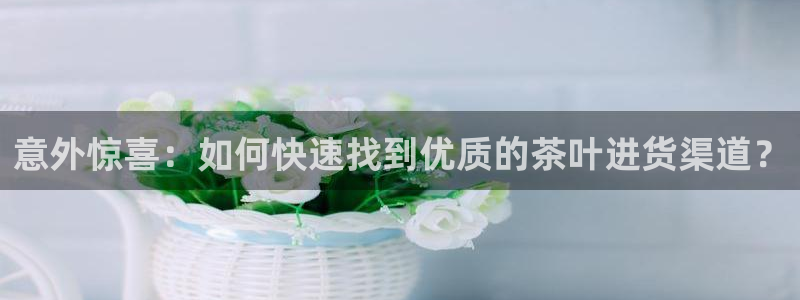 不会玩龙八国际