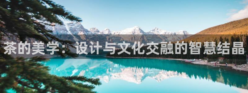 龙八国际官方