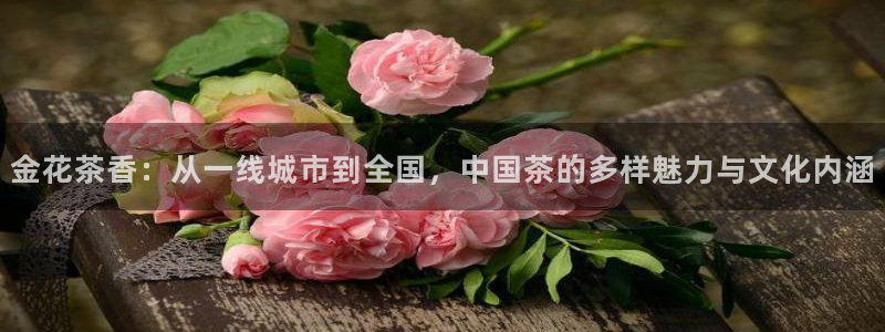 龙八国际电子游戏