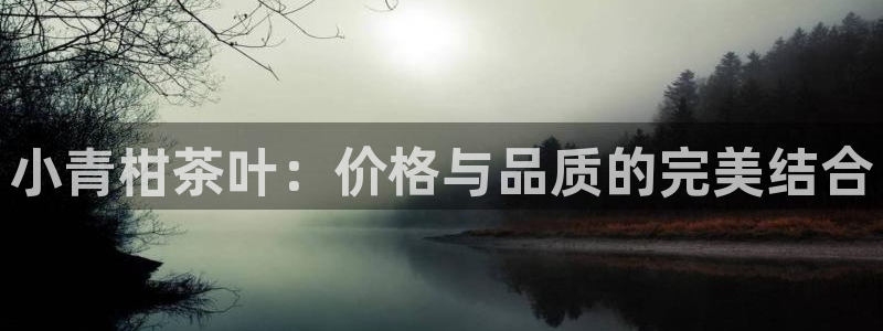 龙八国际花园宝宝