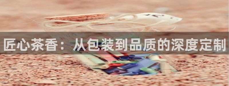 龙八国际服