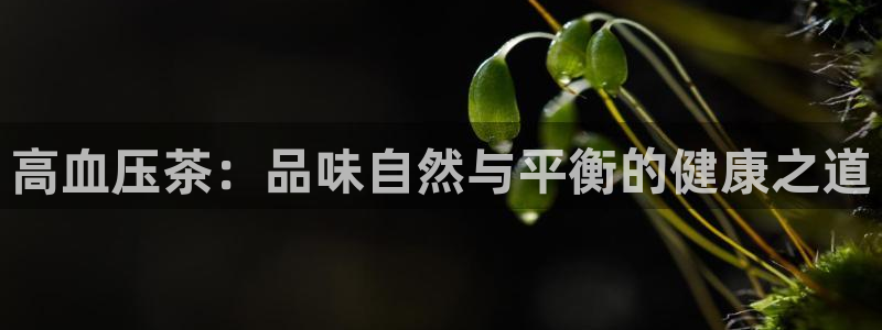 龙八国际官网app