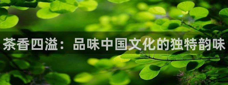 下载龙八国际网站