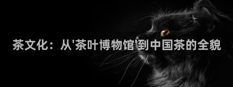 龙八国际pt游戏下载