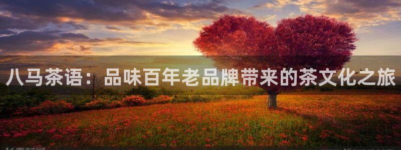 菲律宾的龙八国际