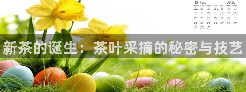 龙八国际老虎机下载