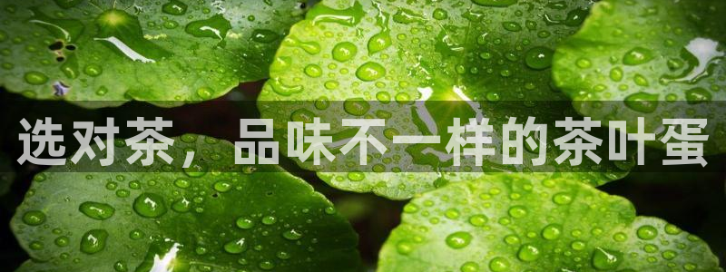 龙八国际app是什么
