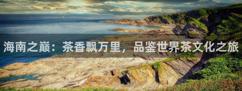 龙八国际提现待审核