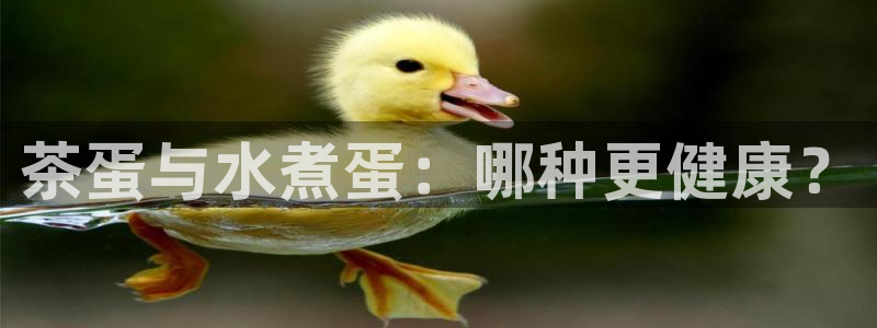 龙八国际娱乐官网多少