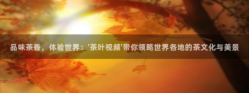龙八国际b48点tv